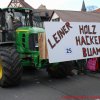 Faschingszug HD 365